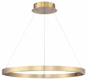 Подвесной светильник ST-Luce PARILLA SL6238.333.01 в Кудымкаре - kudymkar.mebel24.online | фото 3