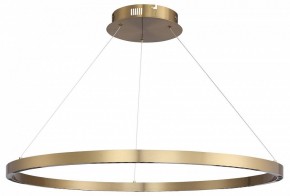 Подвесной светильник ST-Luce PARILLA SL6238.343.01 в Кудымкаре - kudymkar.mebel24.online | фото 3