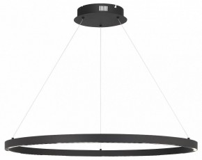 Подвесной светильник ST-Luce PARILLA SL6238.443.01 в Кудымкаре - kudymkar.mebel24.online | фото 2
