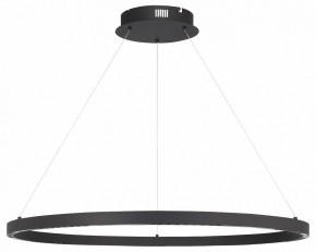 Подвесной светильник ST-Luce PARILLA SL6238.443.01 в Кудымкаре - kudymkar.mebel24.online | фото 3