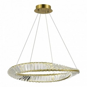 Подвесной светильник ST-Luce Ritorto SL6204.301.01 в Кудымкаре - kudymkar.mebel24.online | фото 2