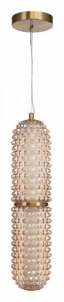 Подвесной светильник ST-Luce SAGUARO SL6144.303.01 в Кудымкаре - kudymkar.mebel24.online | фото 3