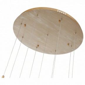 Подвесной светильник ST-Luce SL1116 SL1116.203.09 в Кудымкаре - kudymkar.mebel24.online | фото 4