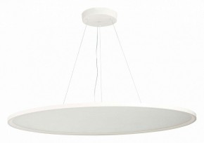 Подвесной светильник ST-Luce ST602 ST602.543.120 в Кудымкаре - kudymkar.mebel24.online | фото 2