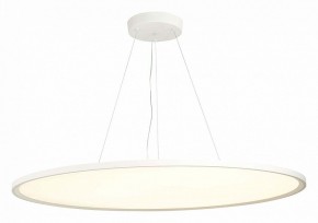 Подвесной светильник ST-Luce ST602 ST602.543.120 в Кудымкаре - kudymkar.mebel24.online | фото 3
