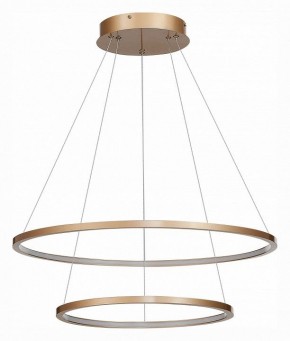 Подвесной светильник ST-Luce ST603 IN ST603.243.56 в Кудымкаре - kudymkar.mebel24.online | фото 3