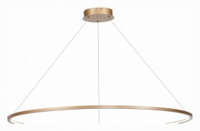 Подвесной светильник ST-Luce ST603 IN ST603.243.57 в Кудымкаре - kudymkar.mebel24.online | фото 3