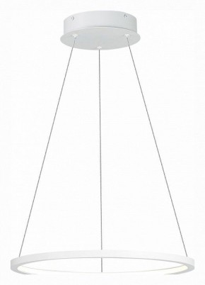 Подвесной светильник ST-Luce ST603 IN ST603.543.22 в Кудымкаре - kudymkar.mebel24.online | фото 3