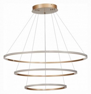 Подвесной светильник ST-Luce ST604 OUT ST604.243.114 в Кудымкаре - kudymkar.mebel24.online | фото 2