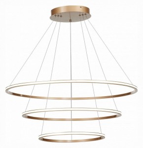 Подвесной светильник ST-Luce ST604 OUT ST604.243.114 в Кудымкаре - kudymkar.mebel24.online | фото 3