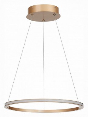 Подвесной светильник ST-Luce ST604 OUT ST604.243.22 в Кудымкаре - kudymkar.mebel24.online | фото 2