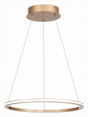 Подвесной светильник ST-Luce ST604 OUT ST604.243.22 в Кудымкаре - kudymkar.mebel24.online | фото 3