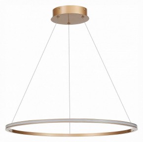 Подвесной светильник ST-Luce ST604 OUT ST604.243.34 в Кудымкаре - kudymkar.mebel24.online | фото 2
