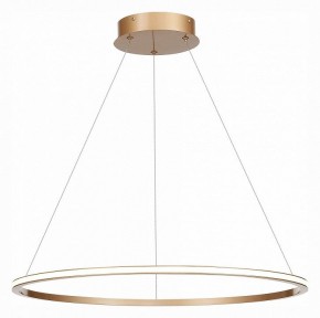 Подвесной светильник ST-Luce ST604 OUT ST604.243.34 в Кудымкаре - kudymkar.mebel24.online | фото 3