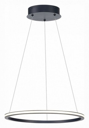 Подвесной светильник ST-Luce ST604 OUT ST604.443.22 в Кудымкаре - kudymkar.mebel24.online | фото 3
