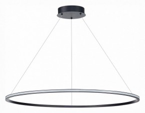 Подвесной светильник ST-Luce ST604 OUT ST604.443.57 в Кудымкаре - kudymkar.mebel24.online | фото 2