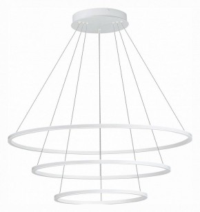 Подвесной светильник ST-Luce ST604 OUT ST604.543.114 в Кудымкаре - kudymkar.mebel24.online | фото 2