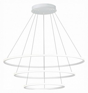 Подвесной светильник ST-Luce ST604 OUT ST604.543.114 в Кудымкаре - kudymkar.mebel24.online | фото 3