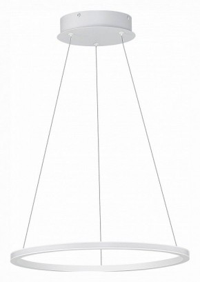 Подвесной светильник ST-Luce ST604 OUT ST604.543.22 в Кудымкаре - kudymkar.mebel24.online | фото 2