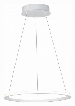 Подвесной светильник ST-Luce ST604 OUT ST604.543.22 в Кудымкаре - kudymkar.mebel24.online | фото 3