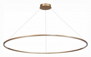 Подвесной светильник ST-Luce ST605 ST605.203.72 в Кудымкаре - kudymkar.mebel24.online | фото 2