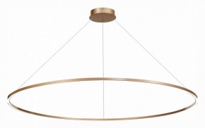 Подвесной светильник ST-Luce ST605 ST605.203.72 в Кудымкаре - kudymkar.mebel24.online | фото 3