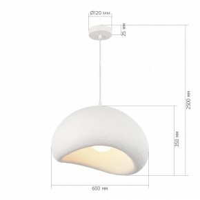 Подвесной светильник ST-Luce WABI SABI SL1522.513.01 в Кудымкаре - kudymkar.mebel24.online | фото 5
