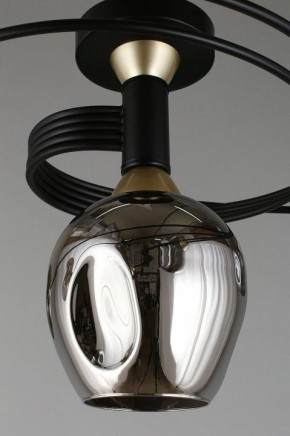 Потолочная люстра Aployt Flor APL.611.17.06 в Кудымкаре - kudymkar.mebel24.online | фото 9