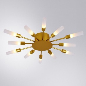 Потолочная люстра Arte Lamp Maple A1276PL-12GO в Кудымкаре - kudymkar.mebel24.online | фото 1