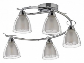 Потолочная люстра Arti Lampadari Paola, Tavenna Nickel Paola E 1.1.5 N в Кудымкаре - kudymkar.mebel24.online | фото