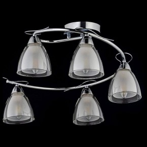 Потолочная люстра Arti Lampadari Paola, Tavenna Nickel Paola E 1.1.5 N в Кудымкаре - kudymkar.mebel24.online | фото 2