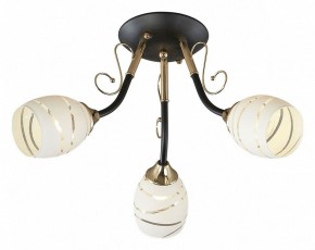 Потолочная люстра Escada Camila 1112/3P в Кудымкаре - kudymkar.mebel24.online | фото 1
