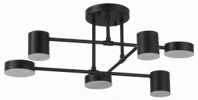 Потолочная люстра EVOLUCE Nobel SLE201042-06 в Кудымкаре - kudymkar.mebel24.online | фото 11