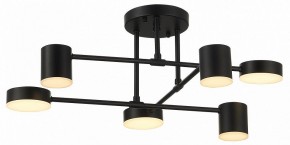 Потолочная люстра EVOLUCE Nobel SLE201042-06 в Кудымкаре - kudymkar.mebel24.online | фото 12