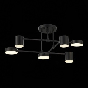 Потолочная люстра EVOLUCE Nobel SLE201042-06 в Кудымкаре - kudymkar.mebel24.online | фото 13