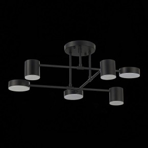 Потолочная люстра EVOLUCE Nobel SLE201042-06 в Кудымкаре - kudymkar.mebel24.online | фото 14