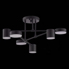 Потолочная люстра EVOLUCE Nobel SLE201042-06 в Кудымкаре - kudymkar.mebel24.online | фото 2