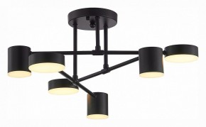Потолочная люстра EVOLUCE Nobel SLE201042-06 в Кудымкаре - kudymkar.mebel24.online | фото 4