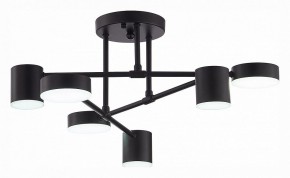 Потолочная люстра EVOLUCE Nobel SLE201042-06 в Кудымкаре - kudymkar.mebel24.online | фото 5
