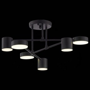 Потолочная люстра EVOLUCE Nobel SLE201042-06 в Кудымкаре - kudymkar.mebel24.online | фото 6