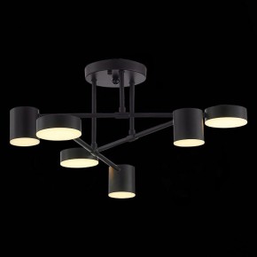 Потолочная люстра EVOLUCE Nobel SLE201042-06 в Кудымкаре - kudymkar.mebel24.online | фото 7