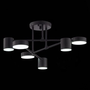 Потолочная люстра EVOLUCE Nobel SLE201042-06 в Кудымкаре - kudymkar.mebel24.online | фото 9