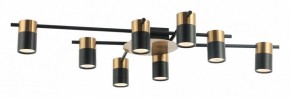 Потолочная люстра Favourite Topper 2825-8P в Кудымкаре - kudymkar.mebel24.online | фото 2