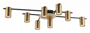 Потолочная люстра Favourite Topper 2827-8P в Кудымкаре - kudymkar.mebel24.online | фото 2