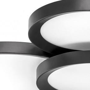 Потолочная люстра Lightstar Breve 749081 в Кудымкаре - kudymkar.mebel24.online | фото 4