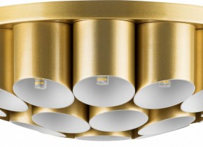 Потолочная люстра Lightstar Siena 720222 в Кудымкаре - kudymkar.mebel24.online | фото 3
