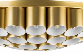 Потолочная люстра Lightstar Siena 720402 в Кудымкаре - kudymkar.mebel24.online | фото 3