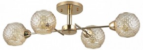 Потолочная люстра Rivoli Amalia Б0050815 в Кудымкаре - kudymkar.mebel24.online | фото