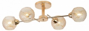 Потолочная люстра Rivoli Amalia Б0050815 в Кудымкаре - kudymkar.mebel24.online | фото 2