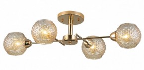 Потолочная люстра Rivoli Amalia Б0050815 в Кудымкаре - kudymkar.mebel24.online | фото 3